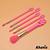 Kit de 5 Pinceis com Cabo de Coelho