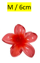 6cm
